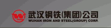 武汉钢铁集团公司
